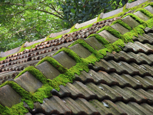 Démoussage de toiture à Bourlens